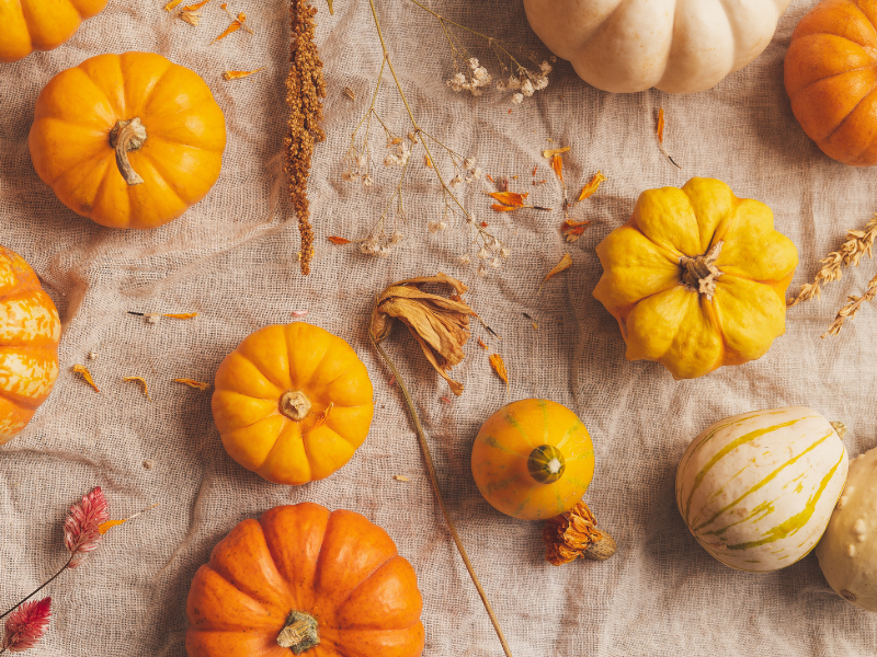 Légumes d'automne